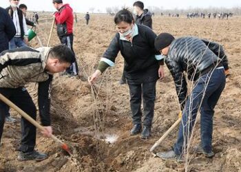 856 ӨНДІРІСТІК ЭКОЛОГИЯЛЫҚ БАҚЫЛАУ ЕСЕПТЕРІ ҚАРАСТЫРЫЛҒАН