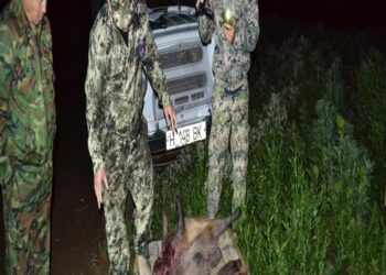 86 РЕЙДТІК ІС-ШАРАЛАР ЖҮРГІЗІЛІП, 77 ӘКІМШІЛІК ХАТТАМА ТОЛТЫРЫЛҒАН