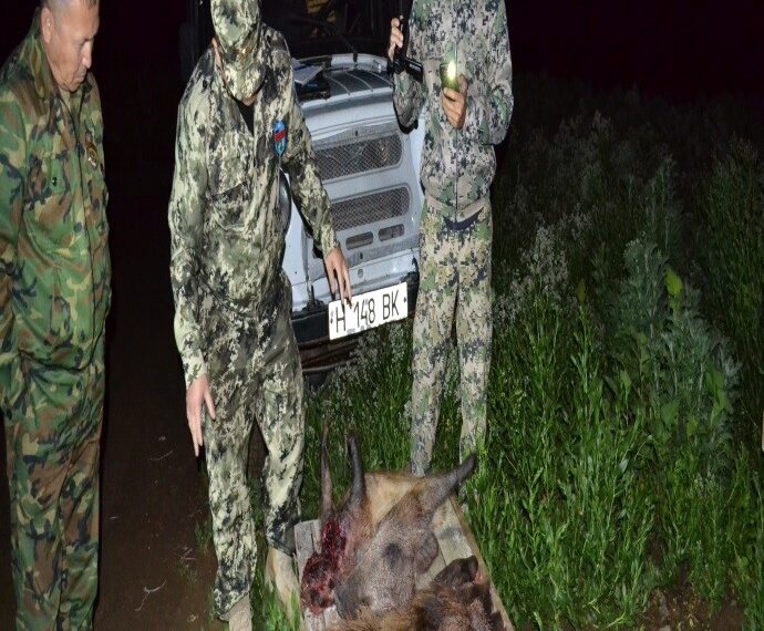 86 РЕЙДТІК ІС-ШАРАЛАР ЖҮРГІЗІЛІП, 77 ӘКІМШІЛІК ХАТТАМА ТОЛТЫРЫЛҒАН