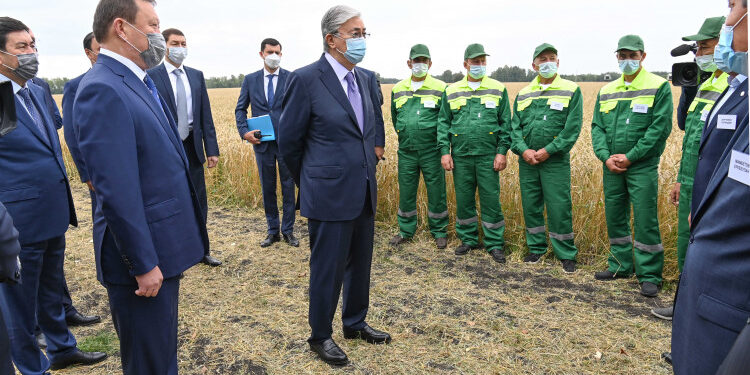 Мемлекет басшысы Солтүстік Қазақстан облысындағы егін жинау науқанының барысымен танысты