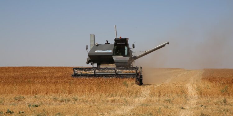 Жамбыл облысында жиын-терім науқаны ойдағыдай өтуде