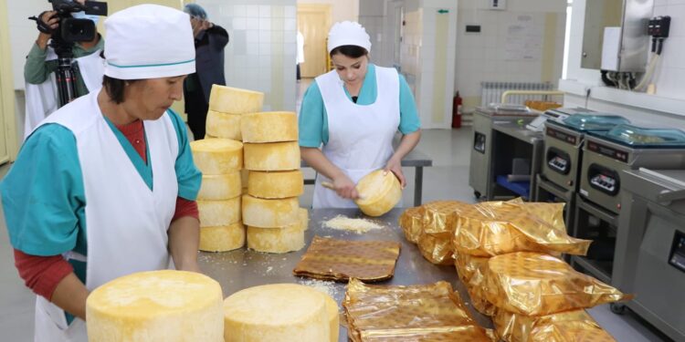 Жамбыл облысында Жуалылық кәсіпорын сүт кластерін дамытуды жолға қойған