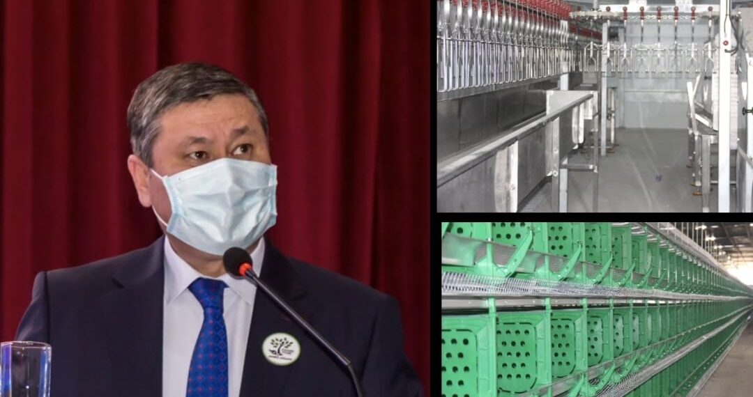 Жамбыл ауданында 350-400 жаңа жұмыс орны ашылады деп күтілуде