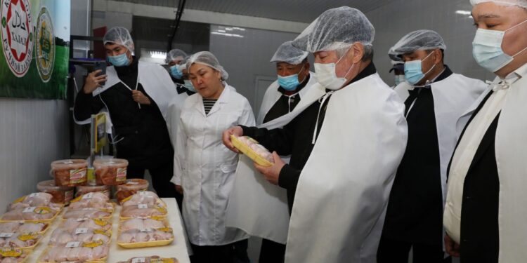 Жамбыл облысында құс шаруашылығы қарқынды дамып келеді