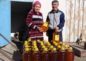 Жамбылдық кәсіпкер өз сауда белгісімен мақсары майын өндіруде