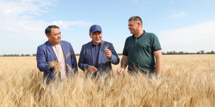 Жамбыл облысы әкімі Қордай ауданындағы шаруа қожалықтар мен құрылыс нысандарын аралады
