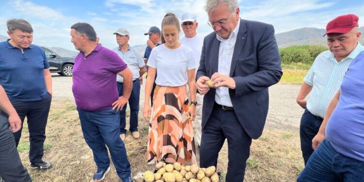 Шетелдік инвесторлар Қазақстанда картоп өсіру мен өңдеуге қызығушылық танытып отыр