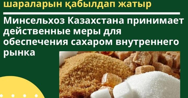 Қазақстанның Ауыл шаруашылығы министрлігі ішкі нарықты қантпен қамтамасыз етудің нақты шараларын қабылдап жатыр