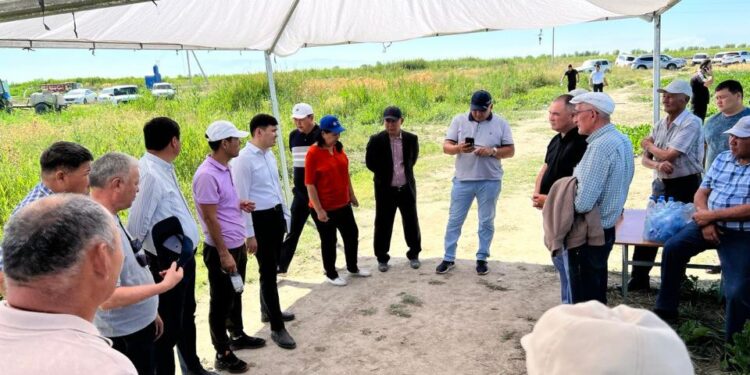 ҚАЗАҚСТАНДА ҚАНТ ҚЫЗЫЛШАСЫ ДАҚЫЛДАРЫН ЕГУ 60 МЫҢ ГА ДЕЙІН ҰЛҒАЙТЫЛУ ЖОСПАРЛАНЫП ОТЫР