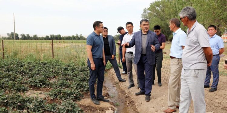 Жамбыл облысы әкімі Жуалыдағы құрылыс жұмыстарын тексерді