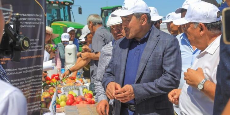 Шу ауданында «Егінжай күні – 2022» семинары өтті