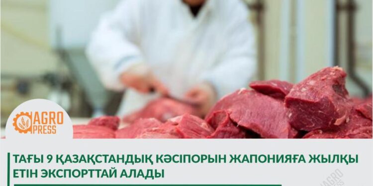 Тағы 9 қазақстандық кәсіпорын Жапонияға жылқы етін экспорттай алады