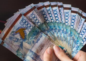 ЖМЗЖ енгізу азаматтарға қосымша зейнетақы төлемін алуға мүмкіндік береді