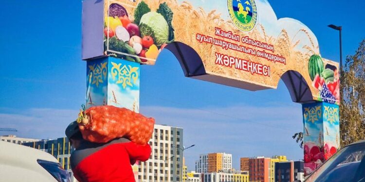 Жамбылдық шаруалар елордадағы жәрмеңкеге 500 тоннаға жуық өнім апарды