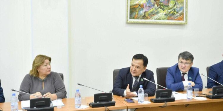 Ұлттық экономика министрлігі «Агломерацияларды дамыту туралы» Заң жобасын таныстырды