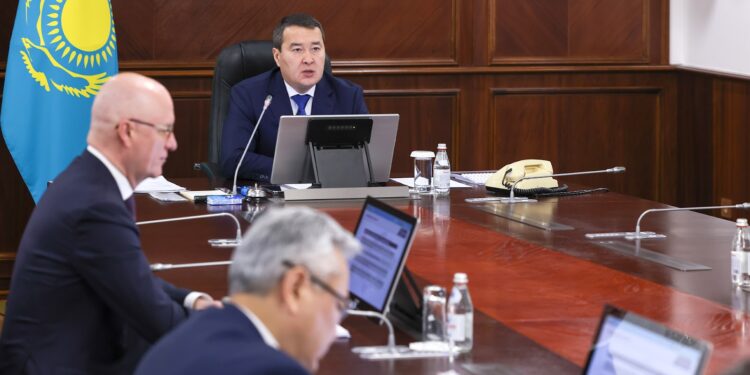 Әлихан Смайылов тұрмыстық зорлық-зомбылық құрбандарына арналған дағдарыс орталықтары желісін кеңейту шараларын қабылдауды тапсырды