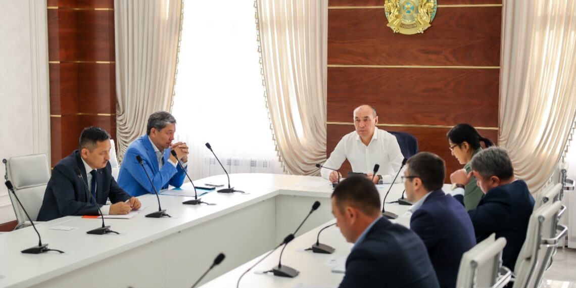 НЕСИЕ ІРІ КӘСІПКЕРЛЕР ҒАНА ЕМЕС, ОРТА ЖӘНЕ ШАҒЫН БИЗНЕС ӨКІЛДЕРІНЕ ҚОЛЖЕТІМДІЛІГІ МӘСЕЛЕСІ КӨТЕРІЛДІ