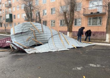 ҚАРАТАУДАҒЫ ДАУЫЛ МЕН ЖАҢАТАСТАҒЫ АҚ БОРАН САЛДАРЫ ҚАНДАЙ?