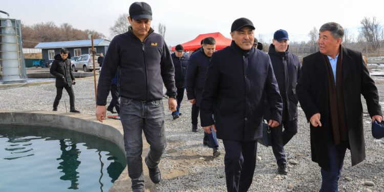 Жамбыл облысында тауарлы балық өндірісін 3000 тоннаға жеткізу көзделуде