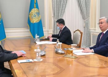 Мемлекет басшысы SCAT әуе компаниясының президенті Владимир Денисовті қабылдады