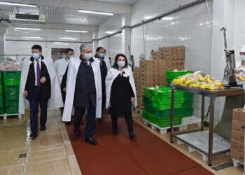 Президент Байзақ ауданы Мырзатай ауылындағы «Әулие Ата Феникс» құс фабрикасын аралап көріп, кәсіпорынның цехтарымен және дайын өнімдерімен танысты