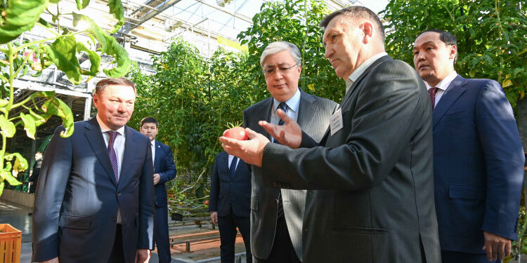 Президент Степногорск қаласында отандық жылыжай технологияларының дамуымен танысты