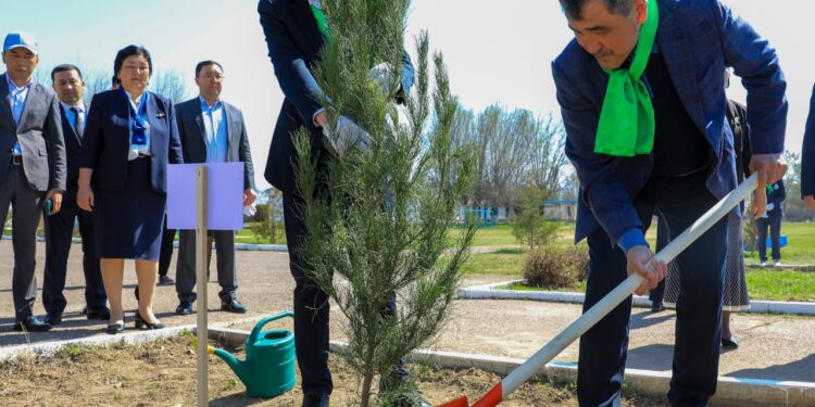 Нұржан Нұржігітов оқушылармен бірге ағаш көшетін отырғызды