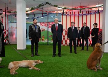 Президент тазы иттердің көрмесін тамашалады