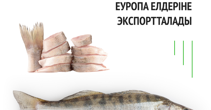 Қазақстанның балық өнімдері Еуропа елдеріне экспортталады