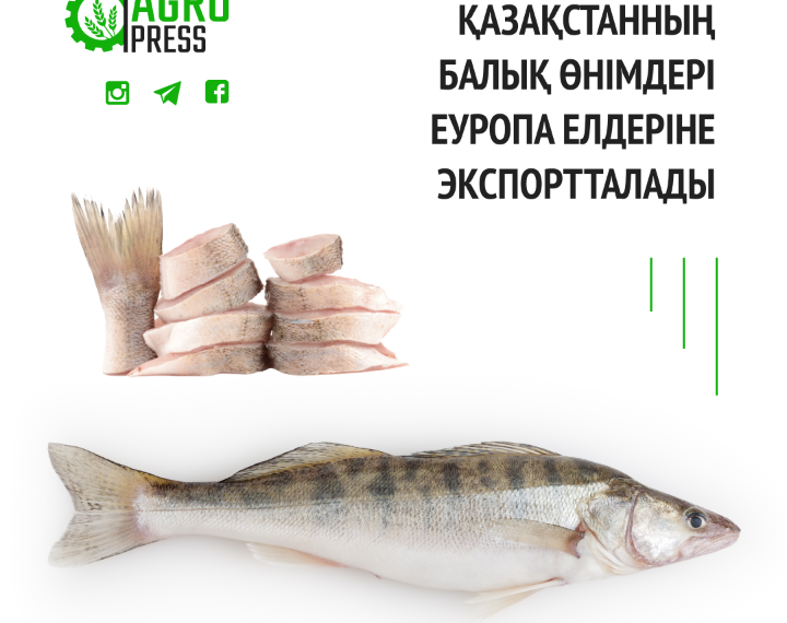 Қазақстанның балық өнімдері Еуропа елдеріне экспортталады