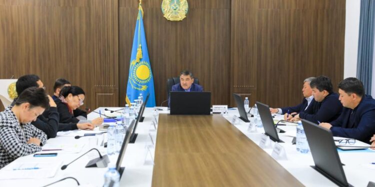 Жамбыл облысы әкімі су каналдарын жөндеу жұмыстарын сынға алды