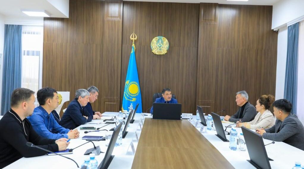 Жамбыл облысы әкіміне бірегей әрі ауқымды жоба таныстырылды