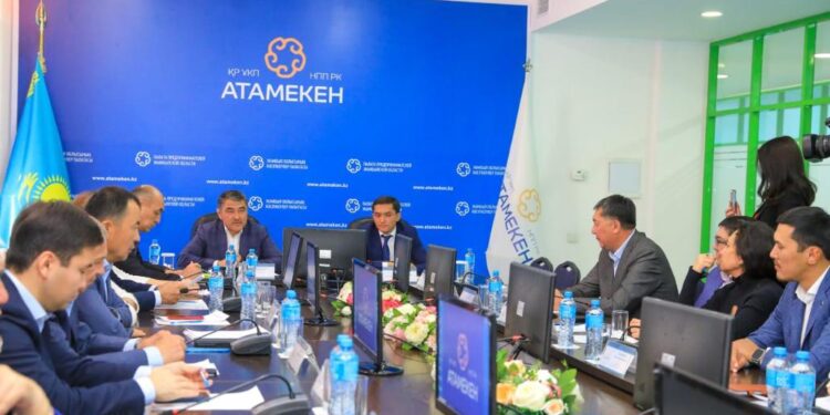 Нұржан Нұржігітов: Біз кәсіпкерлікке қатысты мәселелерді нақты шешумен айналысуға тиіспіз