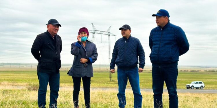 Жамбылда мал төлдету науқаны жүріп жатыр
