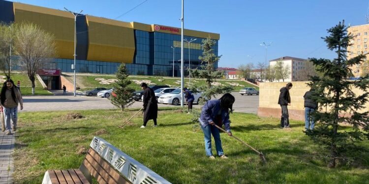 Таразда ағаш көшеттері егіліп, қоқыстар тазалануда