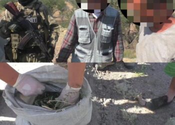 Жамбылдық полицейлер есірткінің аса ірі партиясын тәркіледі