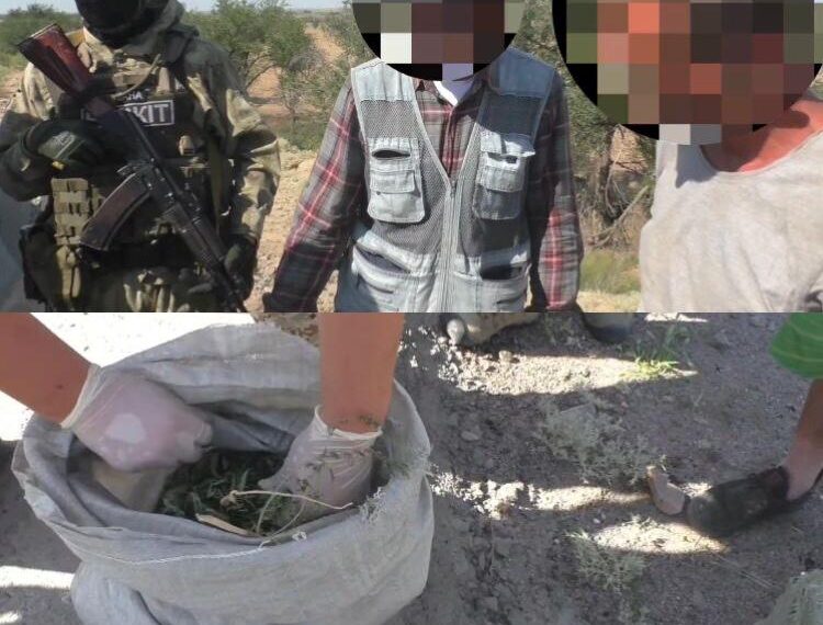 Жамбылдық полицейлер есірткінің аса ірі партиясын тәркіледі