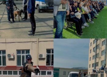 Таразда есірткіге қарсы акцияға 250 студент қатысты