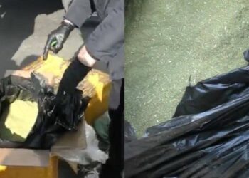 Алматыға кіреберісте Жамбыл облысының екі тұрғынынан 151 келі гашиш тәркіленді