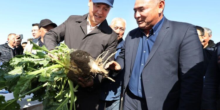 Жамбыл облысының әкімі өңірдегі ауыл шаруашылығы саласының дамуы туралы айтты
