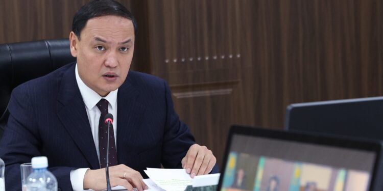 Аудандардың әлеуетін ескеріп, инвестиция тартуға күш салу қажет,- Е.Қарашөкеев