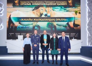 Керқұлан жылқысы қазақ жеріне қайта аяқ басады