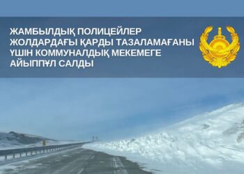 Жамбылдық полицейлер жолдардағы қарды тазаламағаны үшін коммуналдық мекемеге айыппұл салды