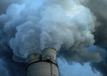 Облыста былтыр 15 экологиялық заңсыздық тіркелген