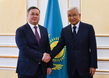 СІМ басшысы мен Иманғали Тасмағамбетов кездесуінде не талқыланды?