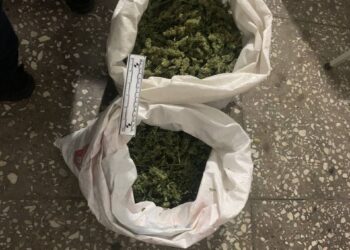 «Құны 10 млн теңге». Жамбыл облысында үнді марихуанасы тәркіленді