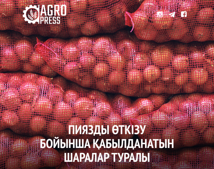 Пияз өткізу мәселесі: Пәкістанға сату көзделеді