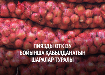 Пияз өткізу мәселесі: Пәкістанға сату көзделеді
