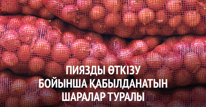 Пияз өткізу мәселесі: Пәкістанға сату көзделеді