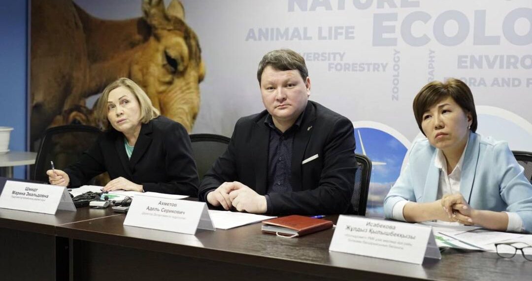 Су тасқыны қаупі жоғары өңірлер аталды